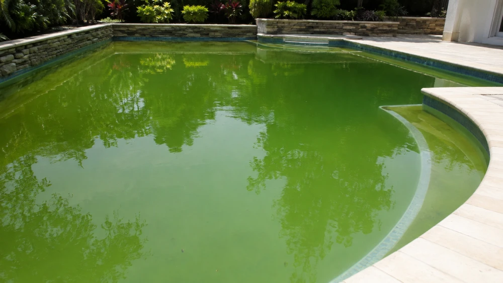 Green Pool Recovery Management: Property Readiness