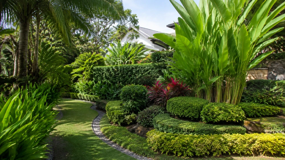 Tropical Garden Growth Management by Season